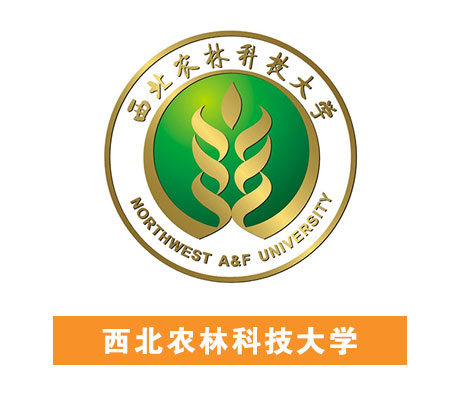 鑫禾国际游戏平台 - welcome